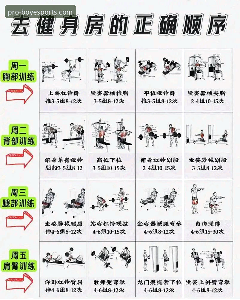 博业体育健身指导推荐 vs 传统健身方法：哪个更适合新手开启科学训练？